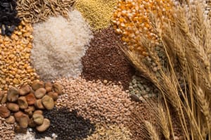 The complex carbohydrates of whole grains regulate sugar in the bloodstream.