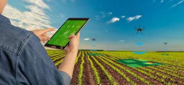 Internet of Things, as a drone, and Machine Learning combining to give the farmer instantaneous information.