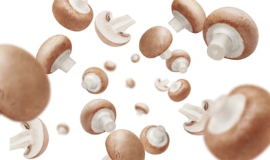 Mushrooms are rich in umami, the fifth sense of taste.