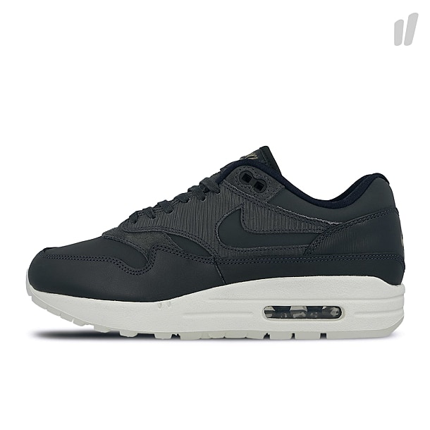 nike wmns air max 1 premium