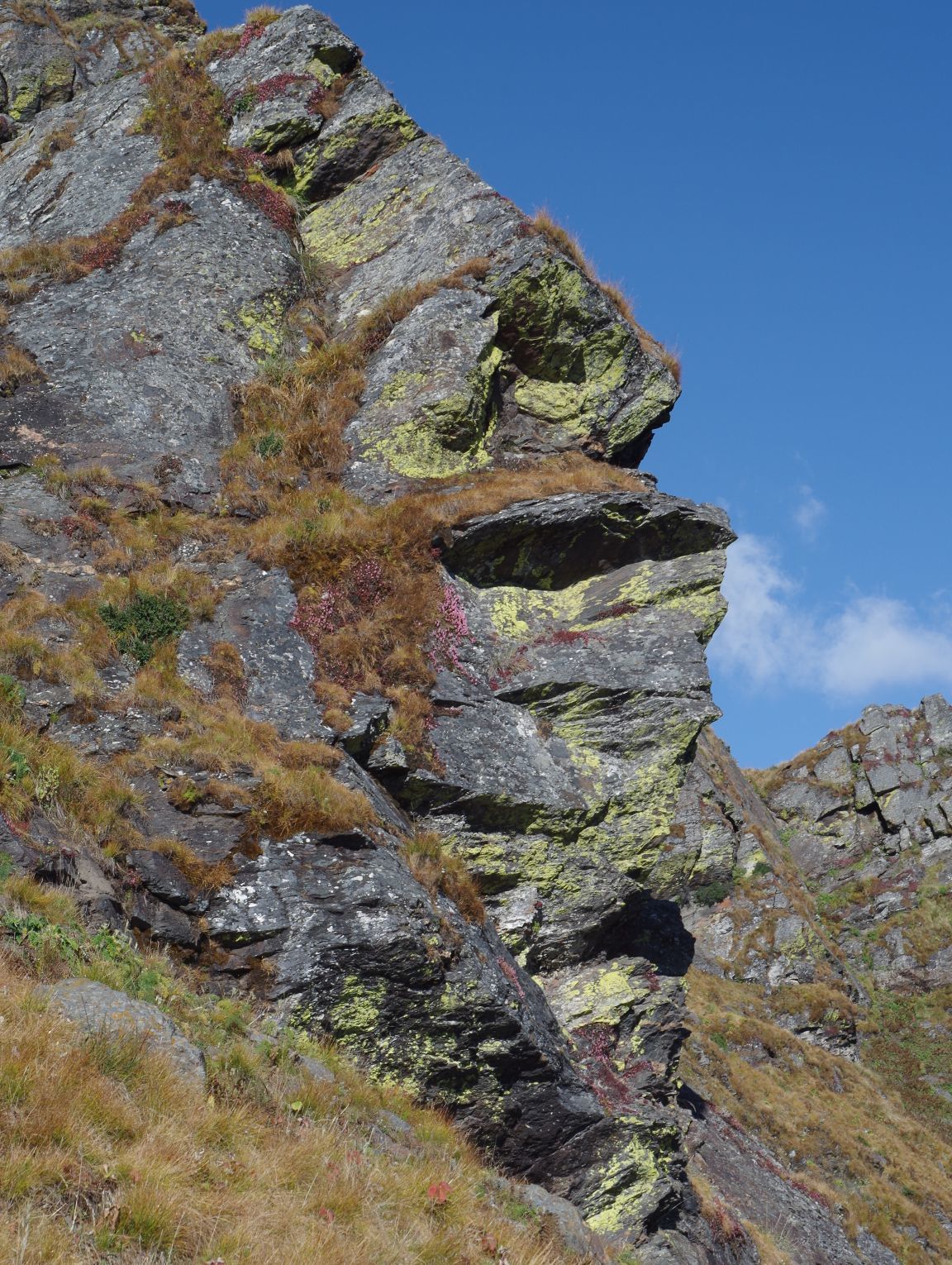 Boulders covered with colorful algae