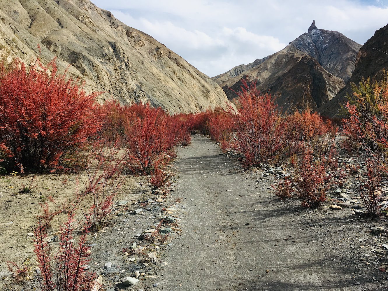 Beautiful valley near Umlung