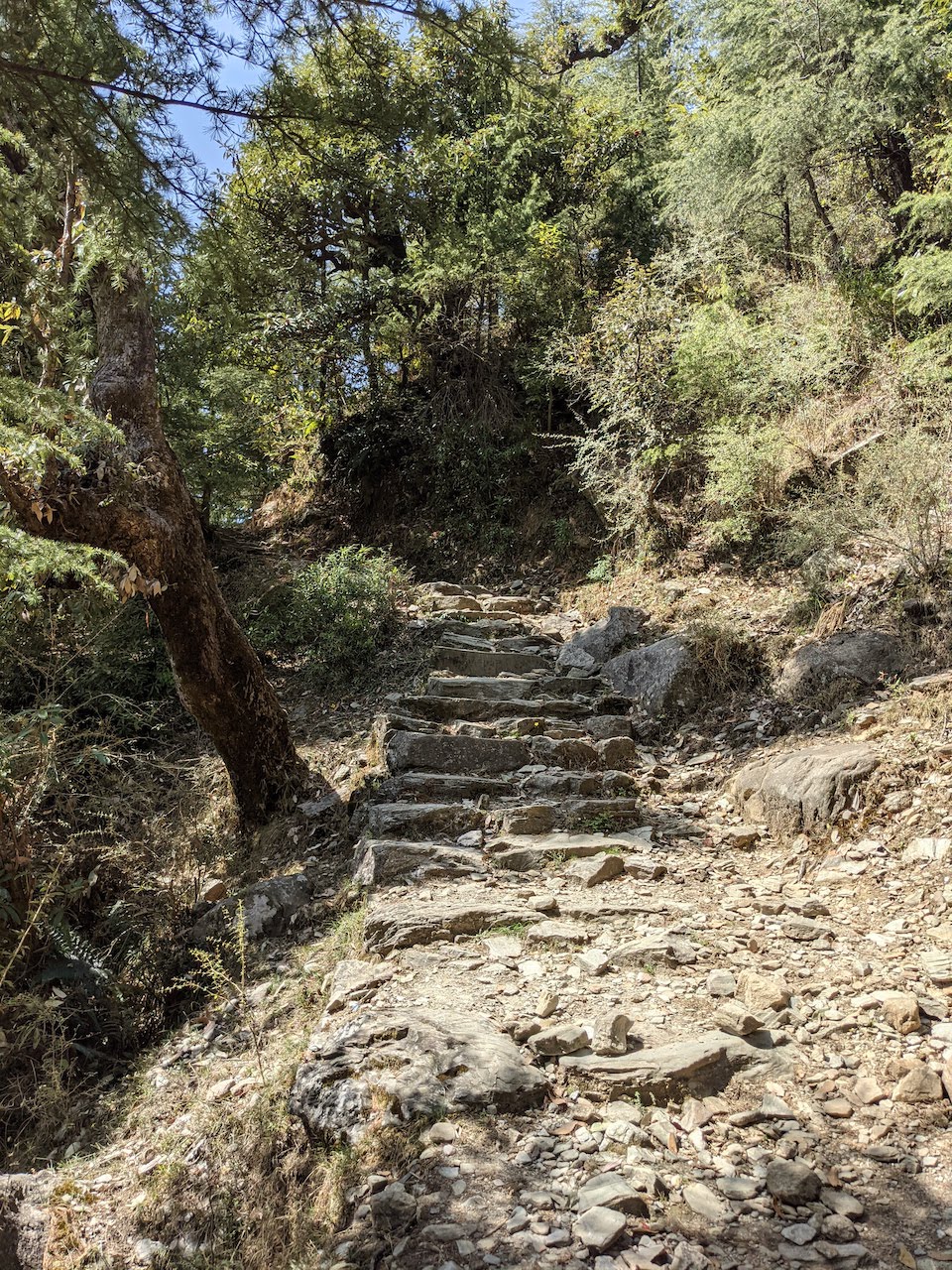 Trail