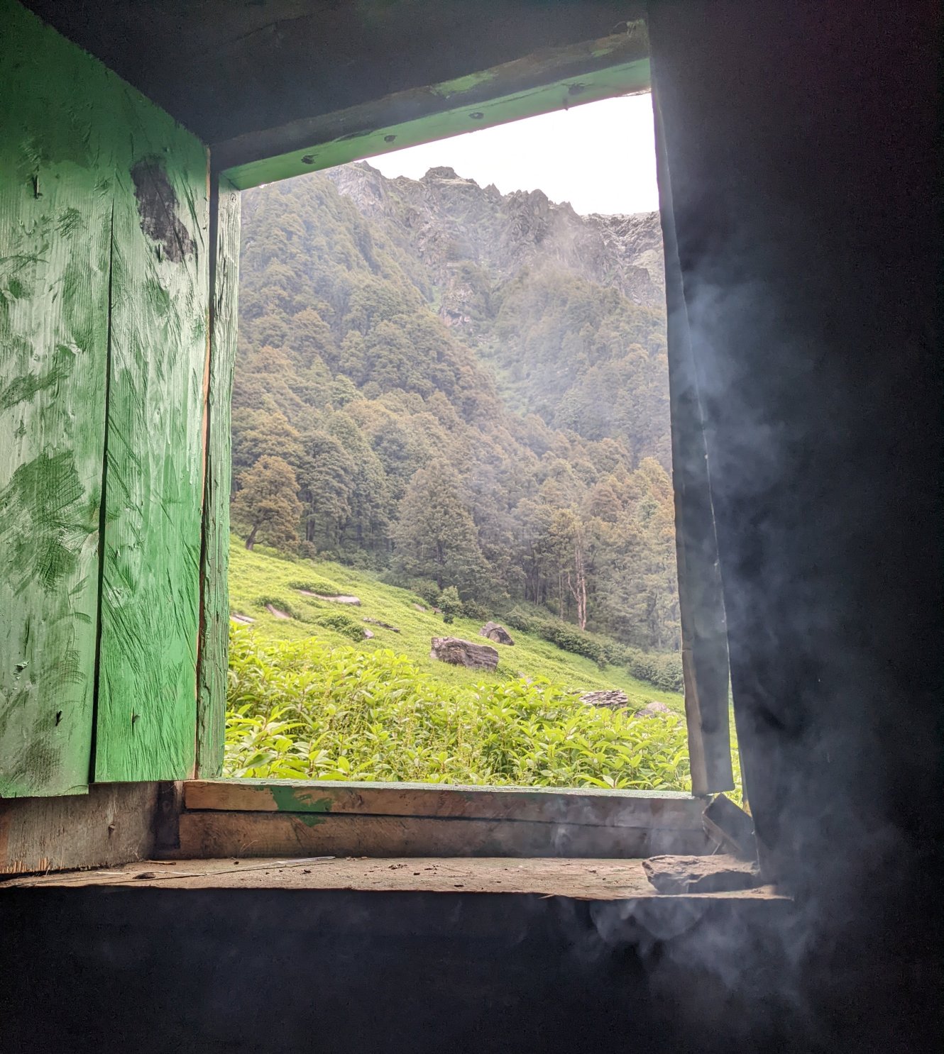 View from the forest hut at Nada Thatch