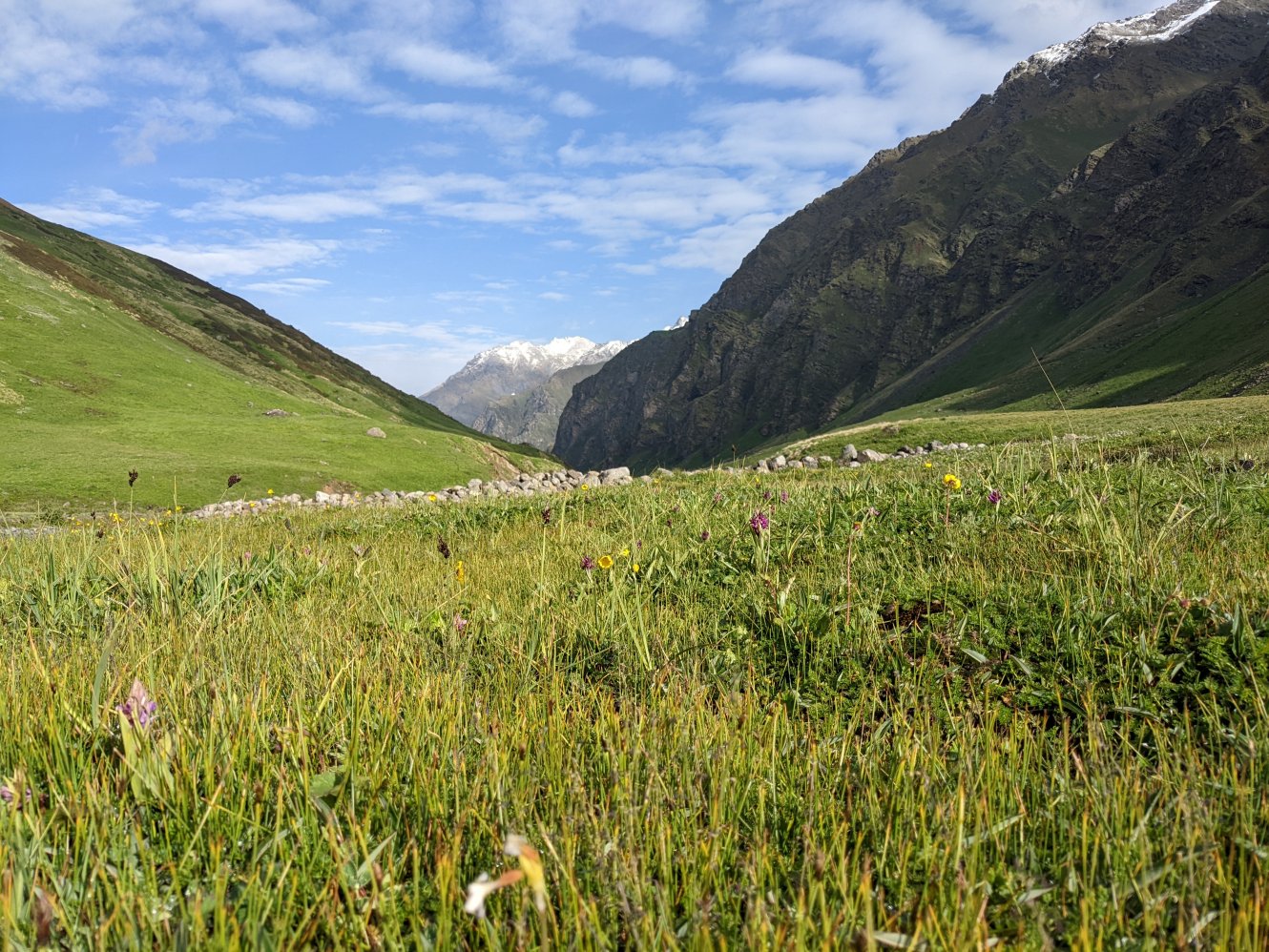 The Tirath meadow