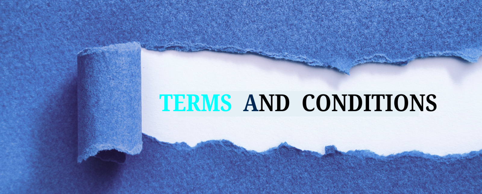 Terms and Conditions