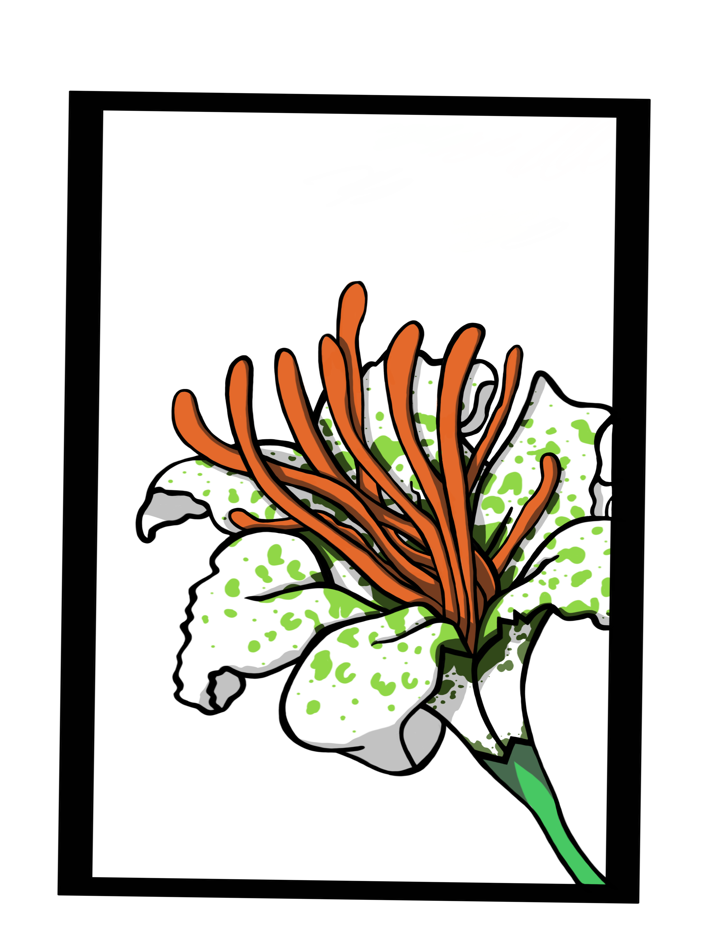ilustración a mano