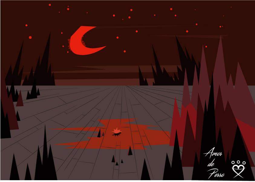 replica fondo samurai jack