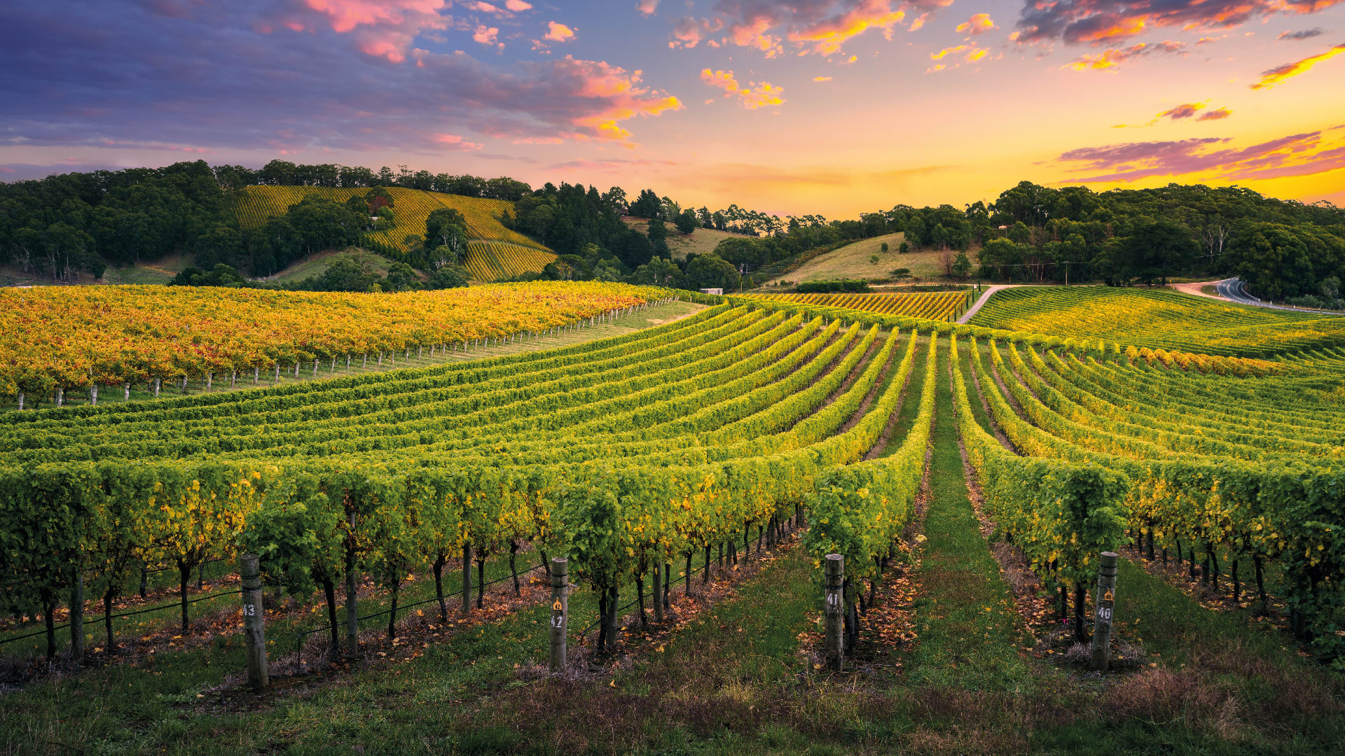 El Penedes wine tasting corporate events