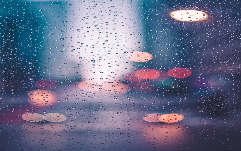 Neem: The Ancient Tree of Wellness