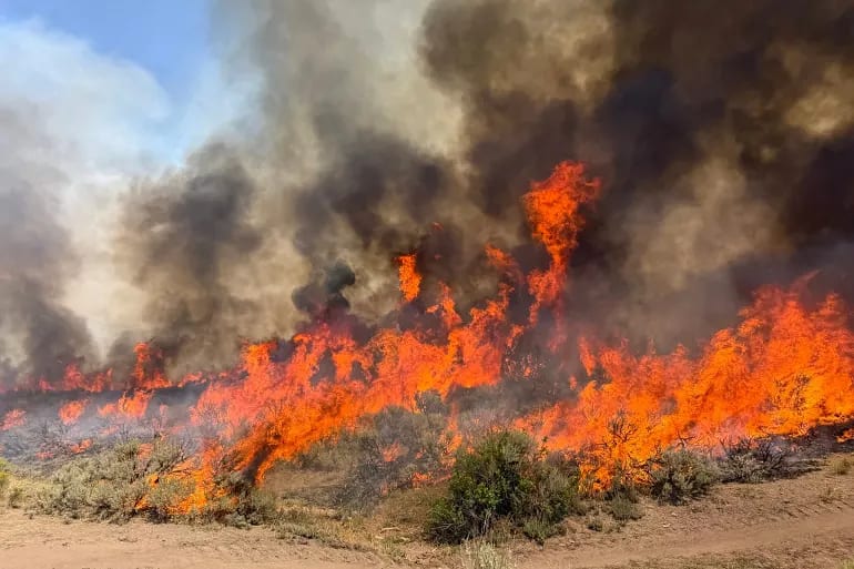 Firefighting Helicopter Crash Kills Two in Utah