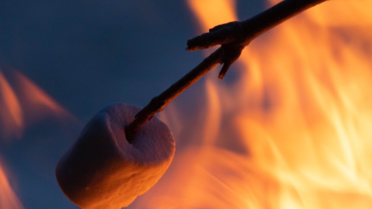 Linkind Smart Light Stick Merges Flame Effects with Practical Use A marshmallow roasting on a stick over a glowing campfire, perfect for outdoor adventure.