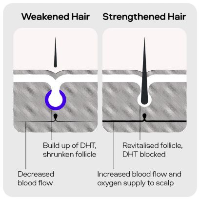 Rear view of Sons Strengthening Shampoo 200ml