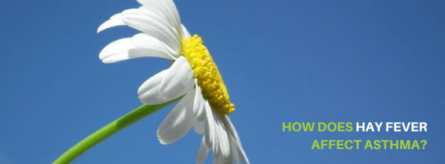 hayfever and asthma