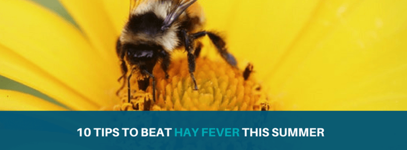 bee