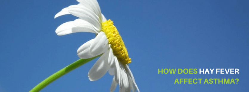 hayfever and asthma
