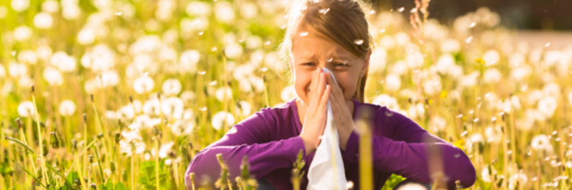 Hay fever