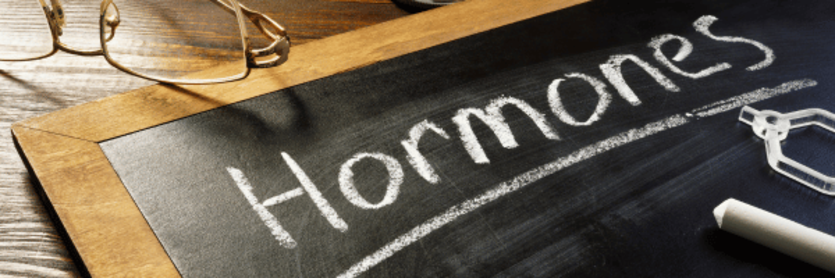hormones written on chalk board