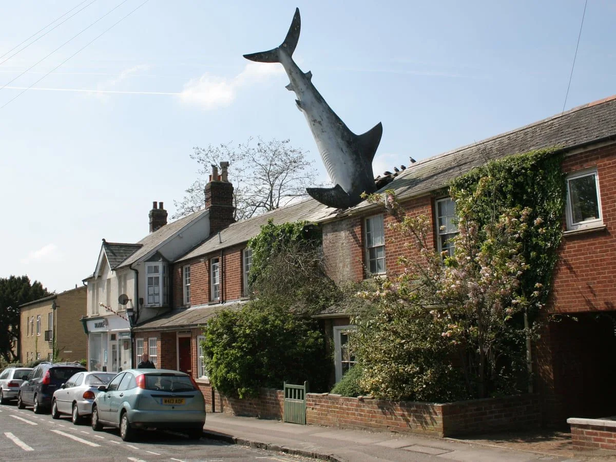 headington-shark