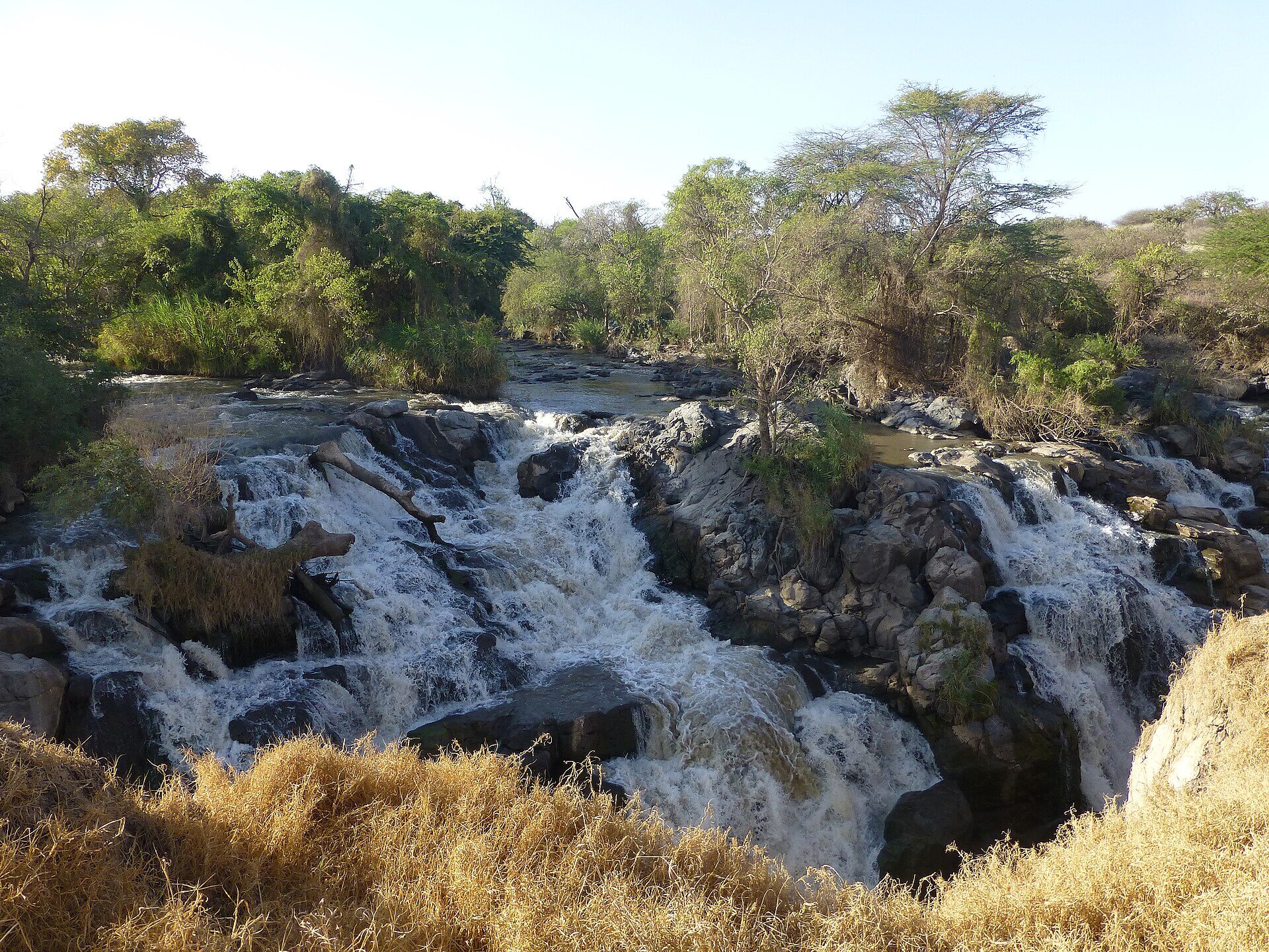Awash-Nationalpark in 2 Tagen