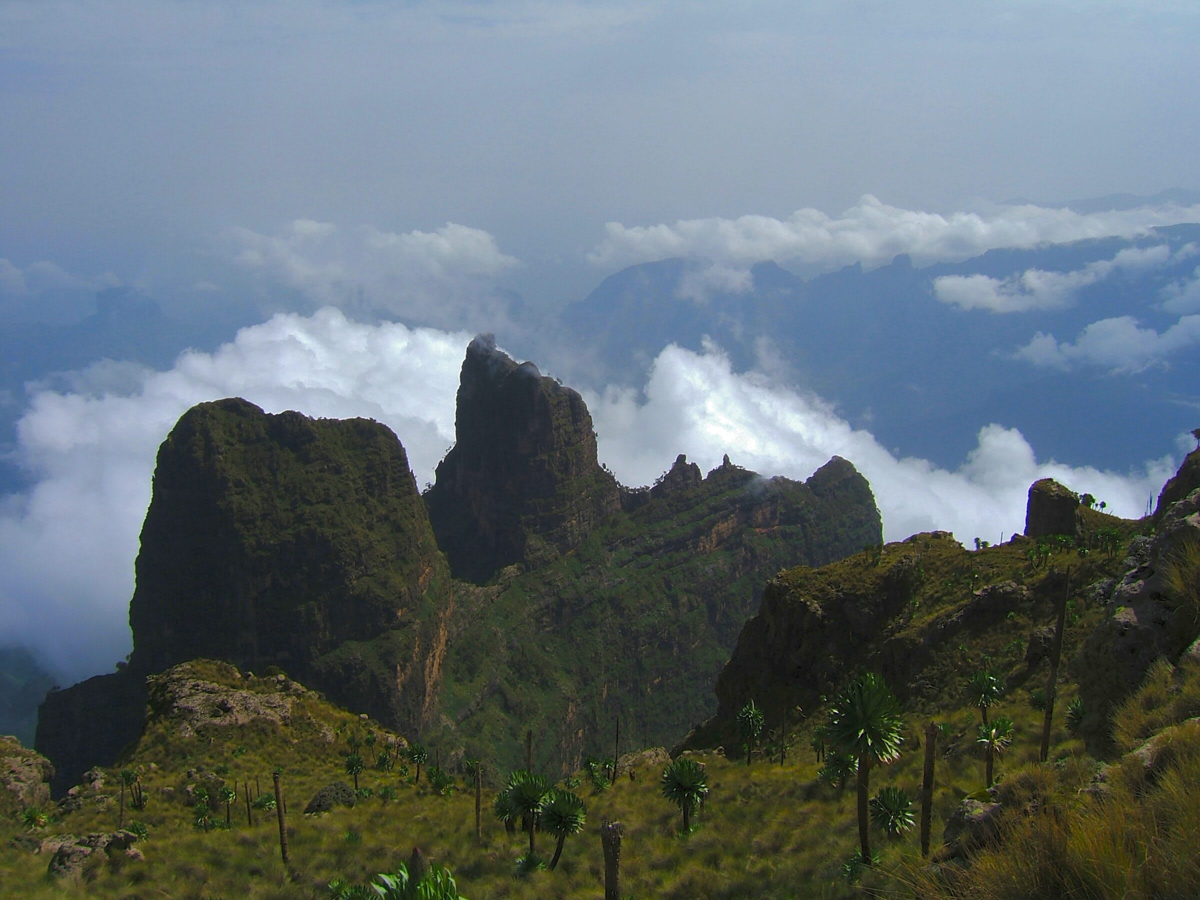 Basaltgipfel des Simien-Gebirges über den Wolken