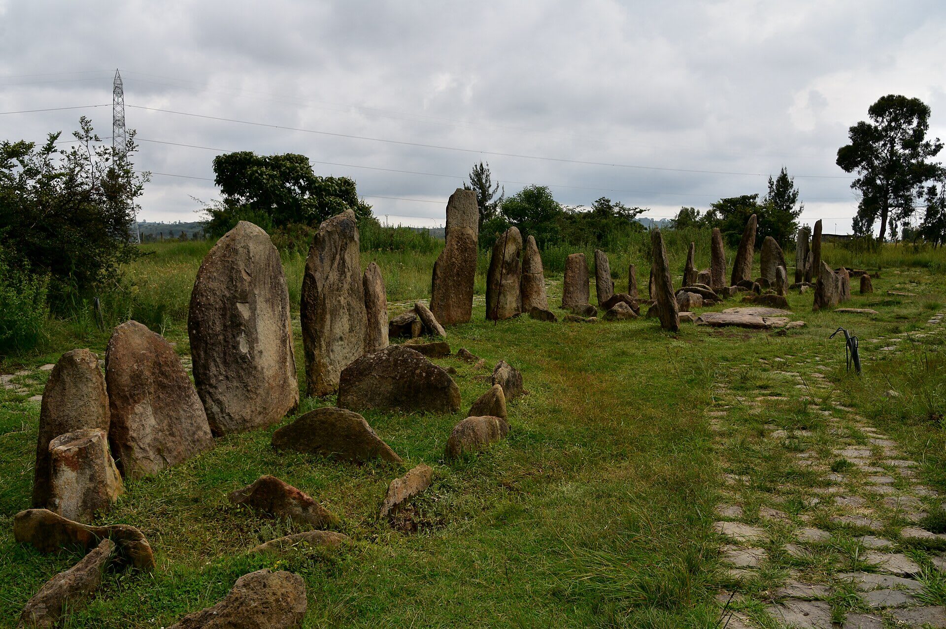 Adadi Mariam & Tiya Day Trip