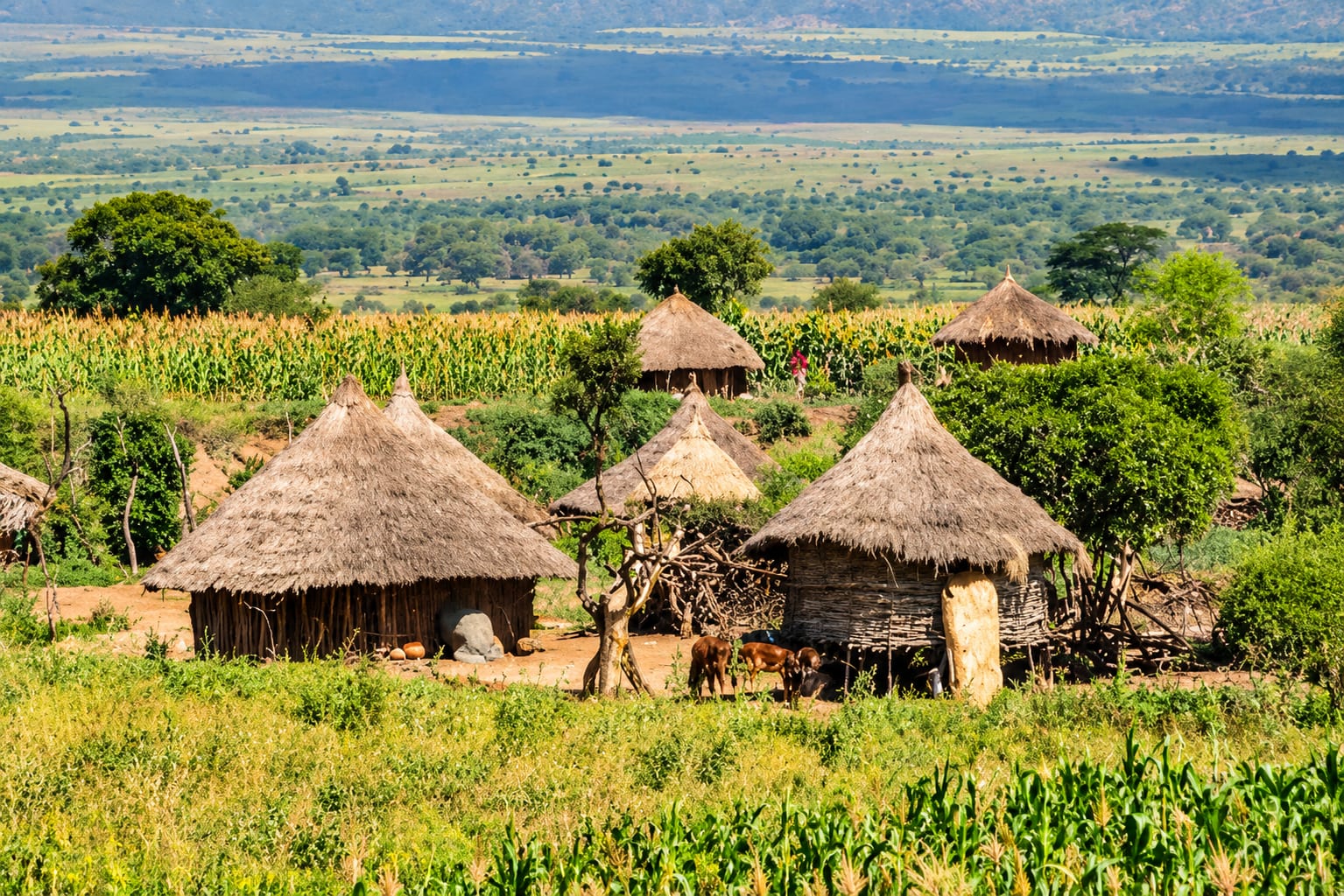 Travel in Ethiopia: the ultimate guide to exploring the Land of Origins