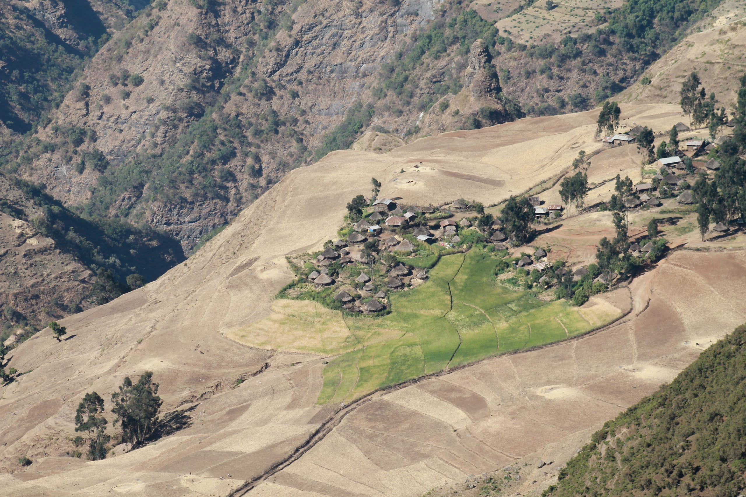 Trekking im Simien-Gebirge in 5 Tagen