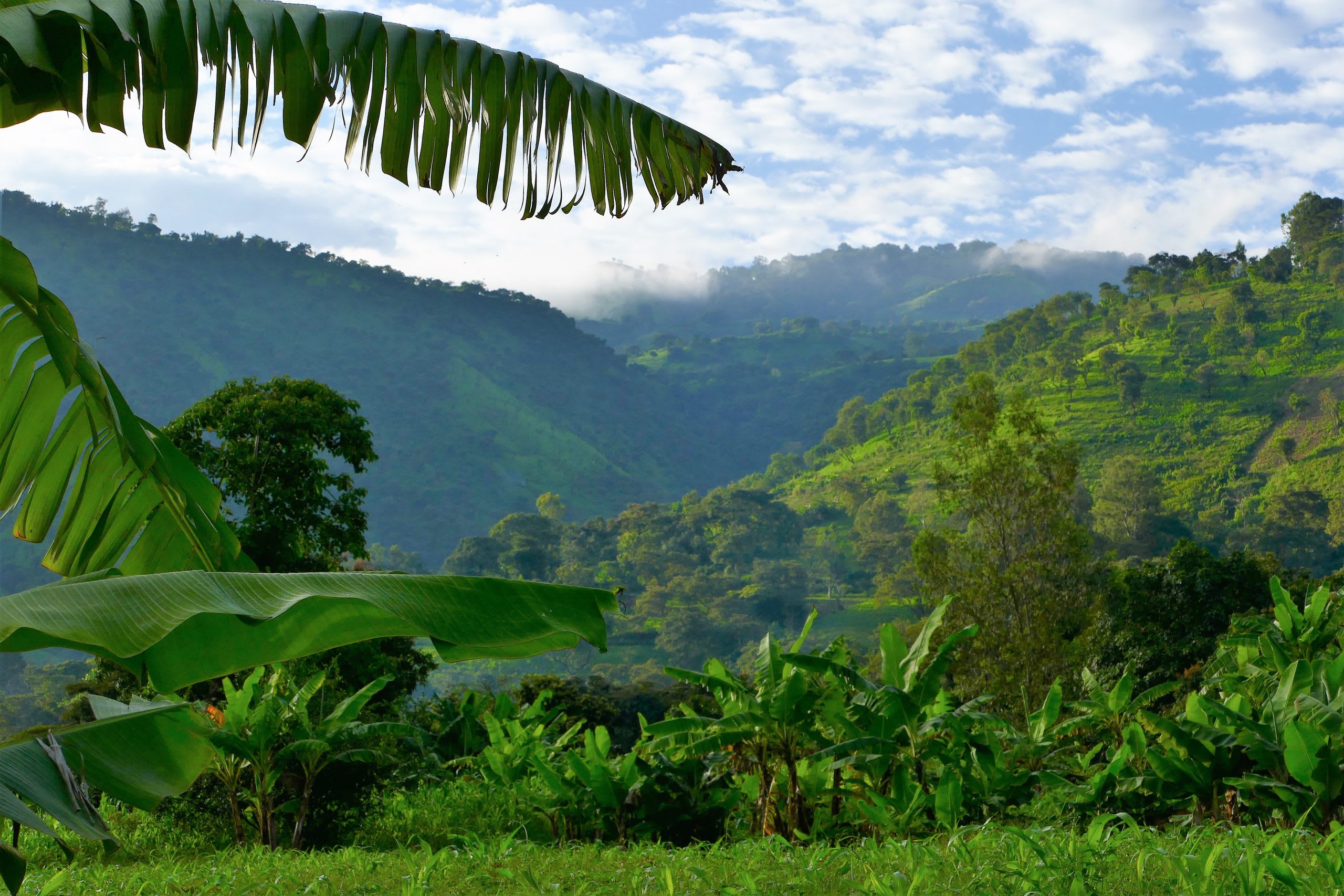 6 Tage Kaffee, Tierwelt und Kultur im Südwesten Äthiopiens