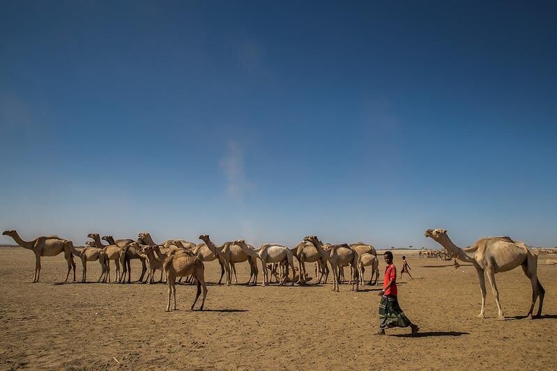Jijiga y la región somalí, Etiopía