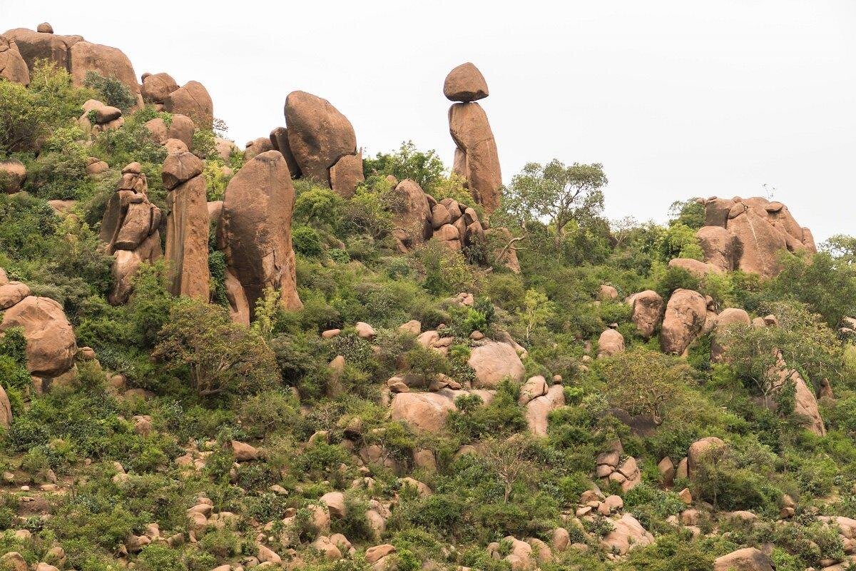 Babile & the Elephant Sanctuary, Ethiopia