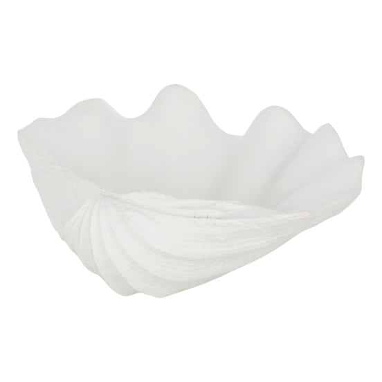 CL0266270-1