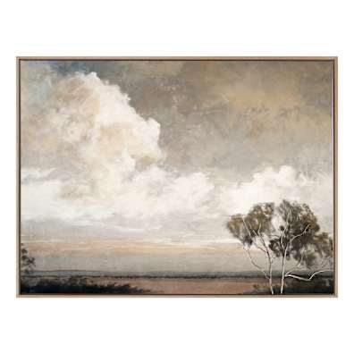 CO0279681-1