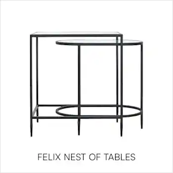 FELIX