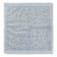 AN0298207-6