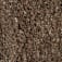 CL0294869-25