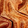 CL0294960-26