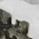 CO0299775-25