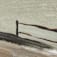CO0299775-26