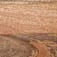 MA0228319-24