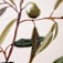 OL0299800-24