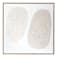 OR0299860-1