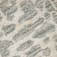 RO0289234-24