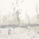 SH0299875-24