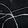 TA0277808-25