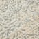 VE0289248-24