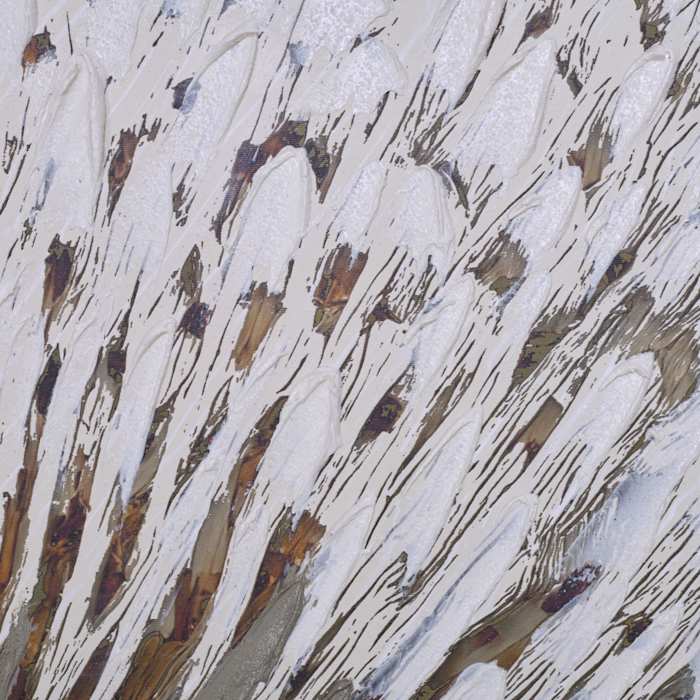 BU0288786-25