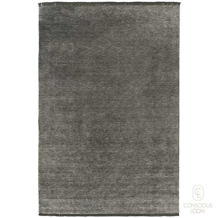 CL0294895-1