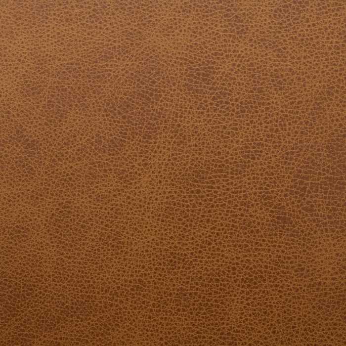 FO0286669-24