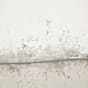 B_AD02998181AD02998201-24